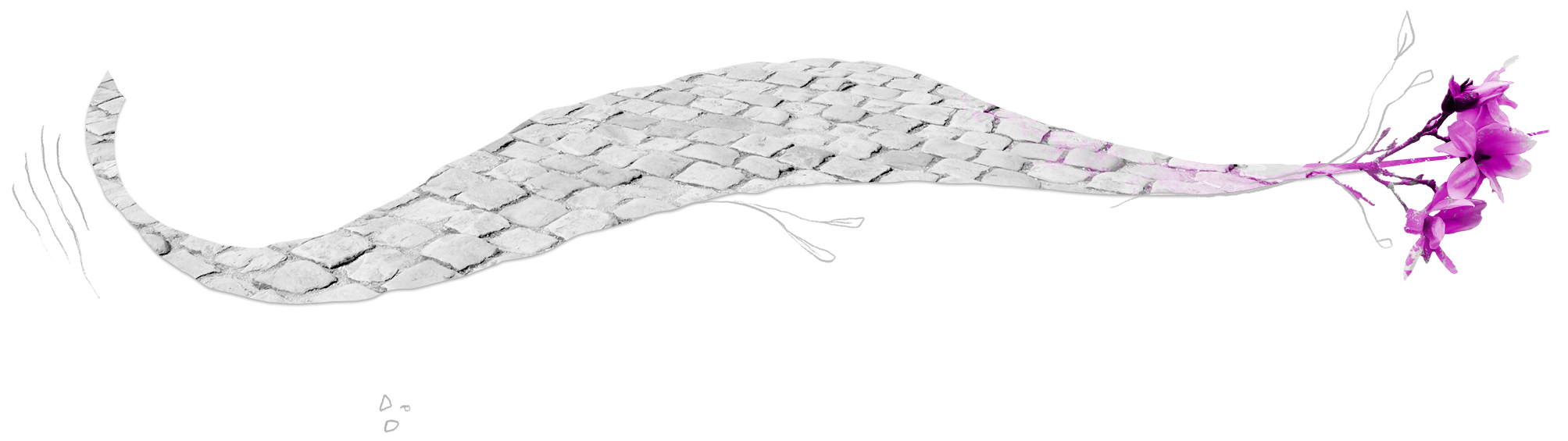 Précipitations : chemin qui débouche sur une fleur