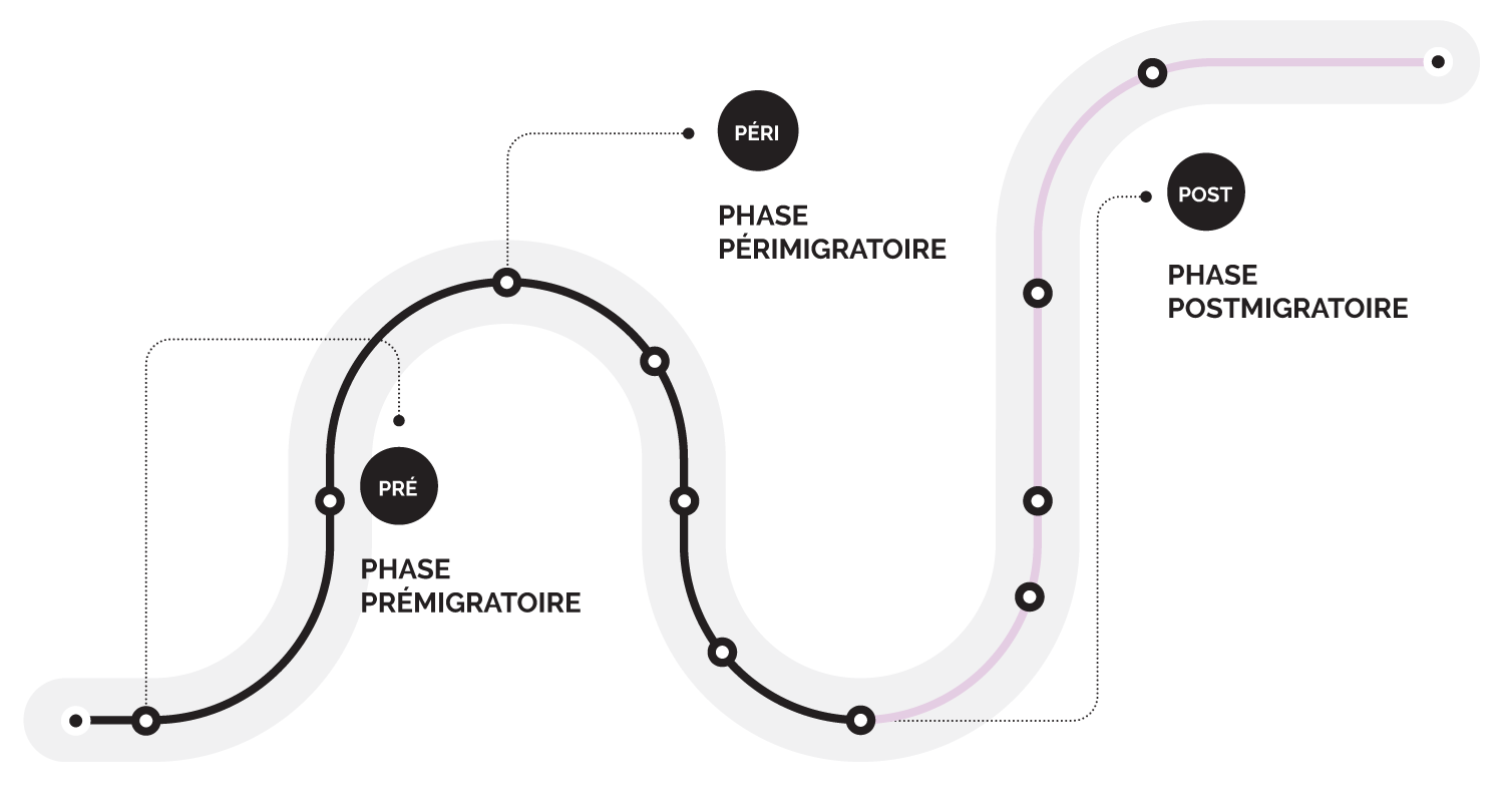 Parcours postmigratoire