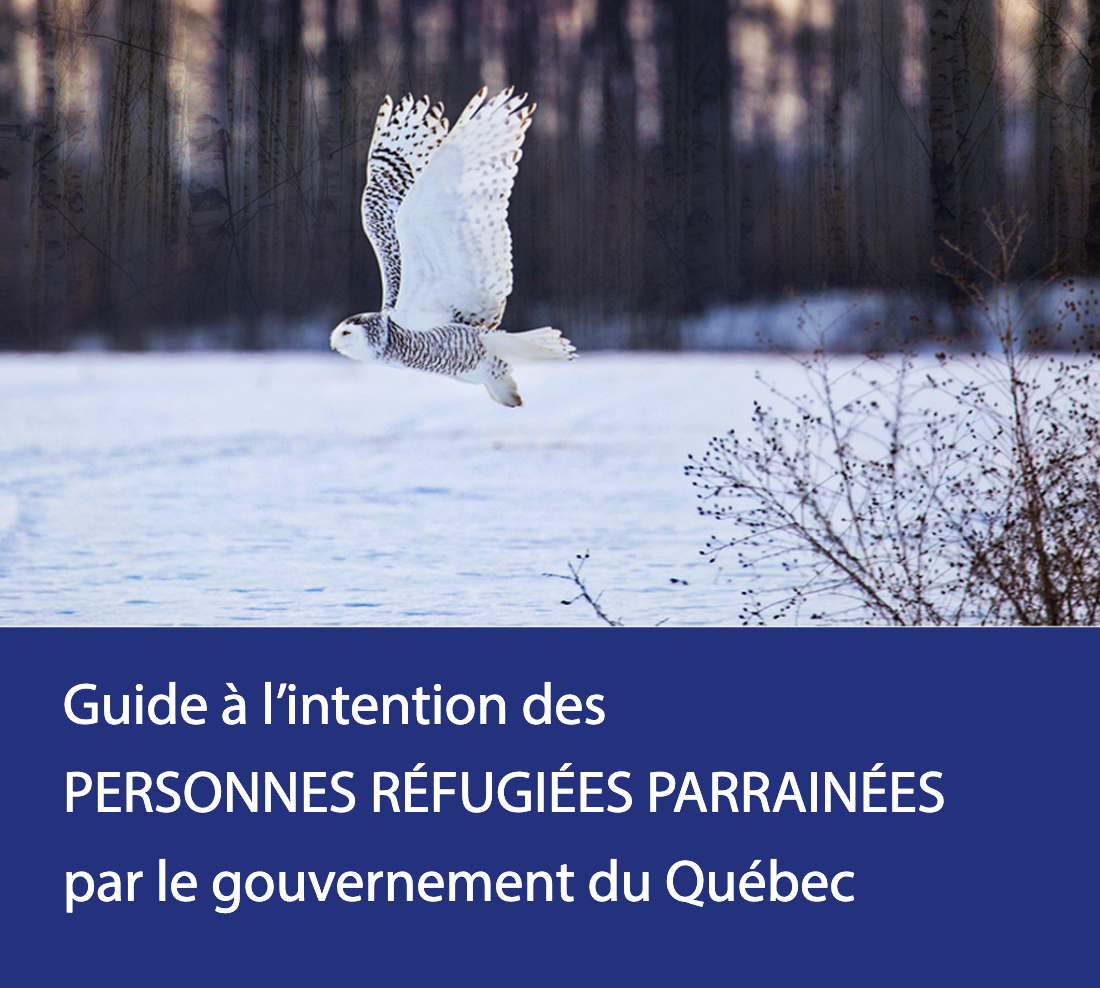 Capture d’écran, le 2025-07-03 à 09.01.53
